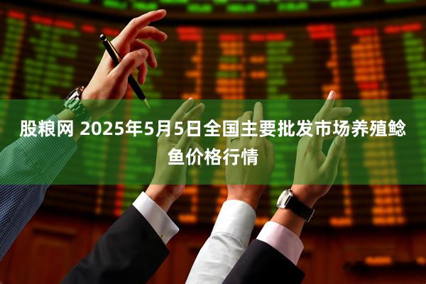 股粮网 2025年5月5日全国主要批发市场养殖鲶鱼价格行情