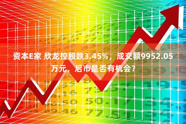 资本E家 欣龙控股跌3.45%，成交额9952.05万元，后市是否有机会？